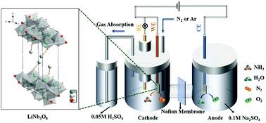 Graphical abstract: Boosting electrochemical nitrogen reduction to ammonia with high efficiency using a LiNb3O8 electrocatalyst in neutral media