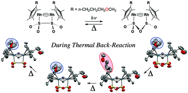 Graphical abstract: Unusual motion of the n-methoxypropyl moiety observed in the photochromic crystals of an organorhodium dithionite complex with n-methoxypropyltetramethylcyclopentadienyl ligands