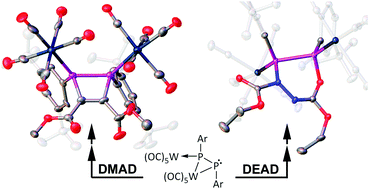 Graphical abstract: A homonuclear π-system with a singlet carbene-type α and a nucleophilic β phosphorus – the first use in P-heterocyclic synthesis