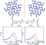 Graphical abstract: Pair of chiral 2D silver(i) enantiomers: chiral recognition of l- and d-histidine via differential pulse voltammetry