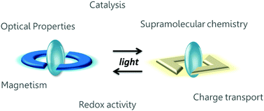 Graphical abstract: Metal complexes bearing photochromic ligands: photocontrol of functions and processes