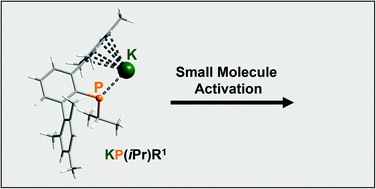 Graphical abstract: Reaction of potassium phosphide KP(iPr)Ter with chalcogens, heteroallenes and an acyl chloride