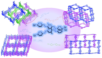 Graphical abstract: New structurally diverse photoactive cadmium coordination polymers