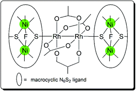 Graphical abstract: Stable thiolate adducts of Rh2(OAc)4 – assembly of hexametallic Ni4Rh2 complexes