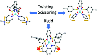 Graphical abstract: Phonon-induced relaxation mechanisms are changed by a chelating effect in a CoII single-ion magnet