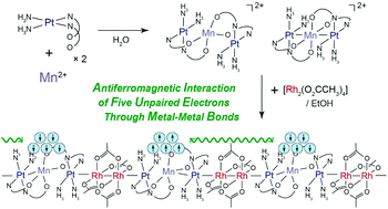 Graphical abstract: Paramagnetic one-dimensional chains containing high-spin manganese atoms showing antiferromagnetic interaction through –Pt–Rh–Rh–Pt– bonds