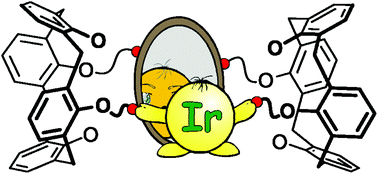 Graphical abstract: Inherently dinuclear iridium(iii) meso architectures accessed by cyclometalation of calix[4]arene-based bis(aryltriazoles)