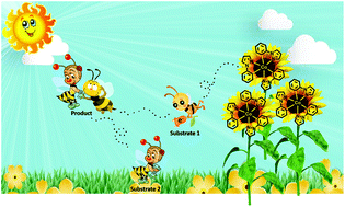 Graphical abstract: An Earth-abundant cobalt based photocatalyst: visible light induced direct (het)arene C–H arylation and CO2 capture