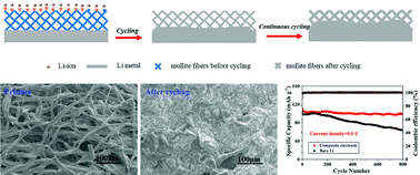 Graphical abstract: Application of 3D mullite fiber matrix as a lithiophilic interlayer in lithium metal anodes