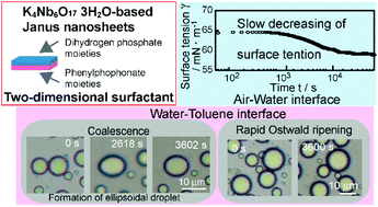 Graphical abstract: Preparation of water-dispersible Janus nanosheets from K4Nb6O17·3H2O and their behaviour as a two-dimensional surfactant on air–water and water-toluene interfaces