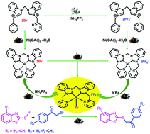 Graphical abstract: Stepwise synthesis and catalysis in C–S cross-coupling of pyridine-functionalized N-heterocyclic carbene nickel(ii) complexes by mechanochemistry