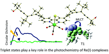 Graphical abstract: Accessible triplet excited states in the photoisomerization of allenes with extended conjugation