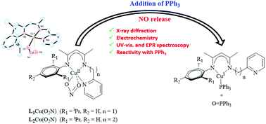 Graphical abstract: Nitric oxide generation study of unsymmetrical β-diketiminato copper(ii) nitrite complexes