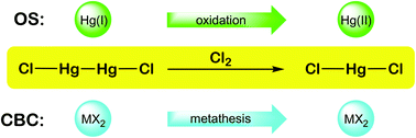 Graphical abstract: Reply to the ‘Comment on “In Defence of Oxidation States”’ by J. C. Green, Dalton Transactions, 2022, 51, DOI: 10.1039/D1DT02930D
