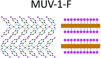Graphical abstract: A fluorinated 2D magnetic coordination polymer