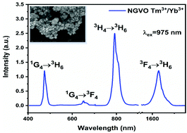 Graphical abstract: A novel optical thermometry strategy based on emission of Tm3+/Yb3+ codoped Na3GdV2O8 phosphors