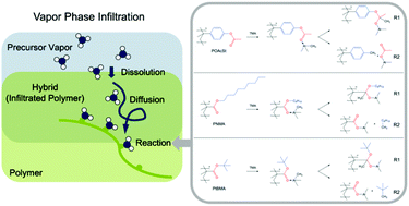 Graphical abstract: Influence of different ester side groups in polymers on the vapor phase infiltration with trimethyl aluminum