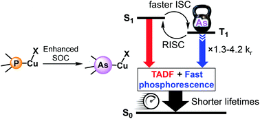 Graphical abstract: Pyridylarsine-based Cu(i) complexes showing TADF mixed with fast phosphorescence: a speeding-up emission rate using arsine ligands