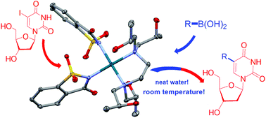 Graphical abstract: Quadrol-Pd(ii) complexes: phosphine-free precatalysts for the room-temperature Suzuki–Miyaura synthesis of nucleoside analogues in aqueous media