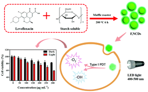 Graphical abstract: F,N-Doped carbon dots as efficient Type I photosensitizers for photodynamic therapy