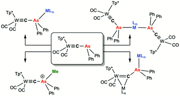 Graphical abstract: Arsinocarbyne reactivity