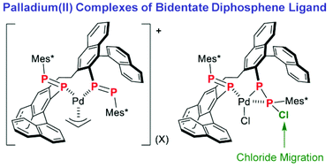 Graphical abstract: Palladium(ii) complexes of bis(diphosphene) with different coordination behaviors