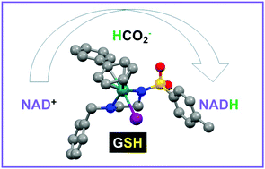 Graphical abstract: Effect of cysteine thiols on the catalytic and anticancer activity of Ru(ii) sulfonyl-ethylenediamine complexes