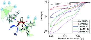 Graphical abstract: Lewis acid protection turns cyanide containing [FeFe]-hydrogenase mimics into proton reduction catalysts