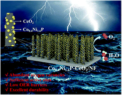 Graphical abstract: CeO2 decorated bimetallic phosphide nanowire arrays for enhanced oxygen evolution reaction electrocatalysis via interface engineering