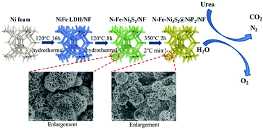 Graphical abstract: The controlled synthesis of nitrogen and iron co-doped Ni3S2@NiP2 heterostructures for the oxygen evolution reaction and urea oxidation reaction