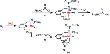 Graphical abstract: Reactivity of molybdenum–nitride complex bearing pyridine-based PNP-type pincer ligand toward carbon-centered electrophiles