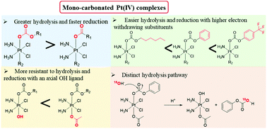 Graphical abstract: The influence of different carbonate ligands on the hydrolytic stability and reduction of platinum(iv) prodrugs