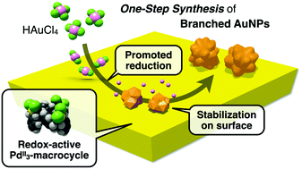 Graphical abstract: Shape-selective one-step synthesis of branched gold nanoparticles on the crystal surface of redox-active PdII-macrocycles