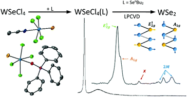Graphical abstract: Tungsten(vi) selenide tetrachloride, WSeCl4 – synthesis, properties, coordination complexes and application of [WSeCl4(SenBu2)] for CVD growth of WSe2 thin films