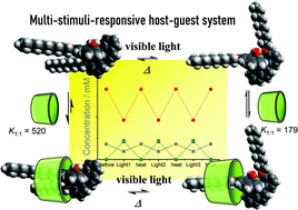 Graphical abstract: A visible-light and temperature responsive host–guest system: the photoisomerization and inclusion complex formation of a ruthenium complex with cyclodextrins