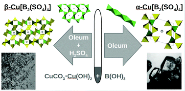 Graphical abstract: Polymorphism and optical, magnetic and thermal properties of the either phyllo- or inosilicate-analogous borosulfate Cu[B2(SO4)4]