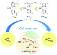 Graphical abstract: An investigation on catalytic nitrite reduction reaction by bioinspired CuII complexes