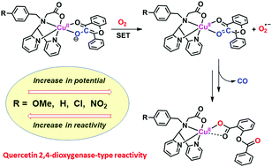 Graphical abstract: Oxygenolysis of a series of copper(ii)-flavonolate adducts varying the electronic factors on supporting ligands as a mimic of quercetin 2,4-dioxygenase-like activity