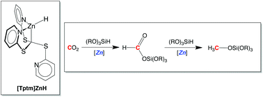 Graphical abstract: Catalytic reduction of carbon dioxide by a zinc hydride compound, [Tptm]ZnH, and conversion to the methanol level