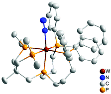 Graphical abstract: Tungsten and molybdenum dinitrogen complexes supported by a pentadentate tetrapodal phosphine ligand: comparative spectroscopic, electrochemical and reactivity studies