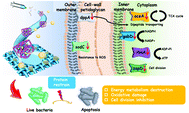 Graphical abstract: Silver(i) metal–organic framework-embedded polylactic acid electrospun fibrous membranes for efficient inhibition of bacteria