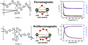 Graphical abstract: Structure, magnetic properties and spin density of two alternative Mn(ii) coordination polymers based on 1,4-bis(2′-carboxyphenoxy)benzene