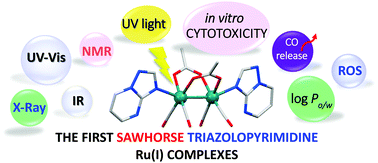 Graphical abstract: Sawhorse-type ruthenium complexes with triazolopyrimidine ligands – what do they represent in terms of cytotoxic and CORM compounds?