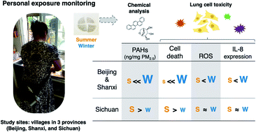 Graphical abstract: Cytotoxicity and chemical composition of women's personal PM2.5 exposures from rural China