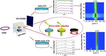 Graphical abstract: Modulation of perovskite crystallization processes towards highly efficient and stable perovskite solar cells with MXene quantum dot-modified SnO2