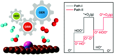 Graphical abstract: Tuning metal single atoms embedded in NxCy moieties toward high-performance electrocatalysis