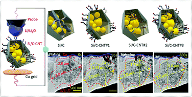 Graphical abstract: Scalable and controllable fabrication of CNTs improved yolk-shelled Si anodes with advanced in operando mechanical quantification