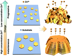 Graphical abstract: A highly reversible zinc deposition for flow batteries regulated by critical concentration induced nucleation