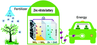 Graphical abstract: Pd doping-weakened intermediate adsorption to promote electrocatalytic nitrate reduction on TiO2 nanoarrays for ammonia production and energy supply with zinc–nitrate batteries