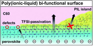 Graphical abstract: Bi-functional interfaces by poly(ionic liquid) treatment in efficient pin and nip perovskite solar cells